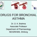 pdf-6230-page-00001.jpg