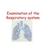 pdf-6498-page-00001.jpg