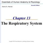 pdf-6640-page-00001.jpg