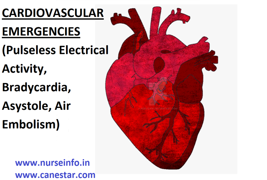 CARDIOVASCULAR EMERGENCIES (Pulseless Electrical Activity, Bradycardia, Asystole, Air Embolism)