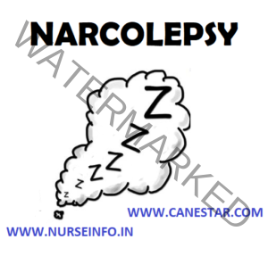 symptoms of narcolepsy type 2
