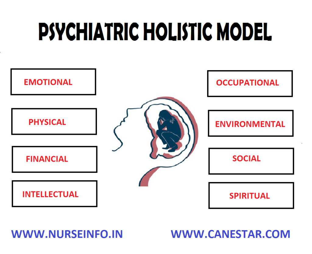 HOLISTIC MODEL (PSYCHIATRIC NURSING) 