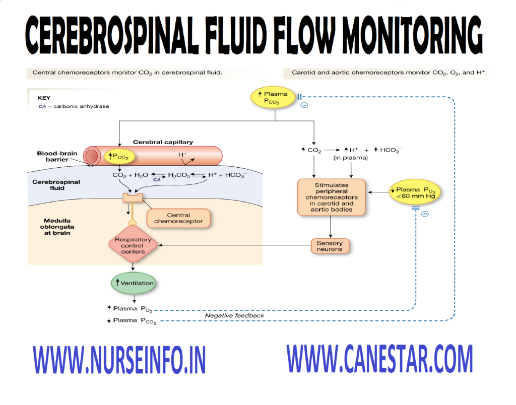 CEREBROSPINAL FLUID FLOW MONITORING – Reference Values, Indications, Contraindications, Nursing Care Before the Procedure, Procedure and Nursing Care After the Procedure 