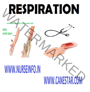 define respiration in nursing