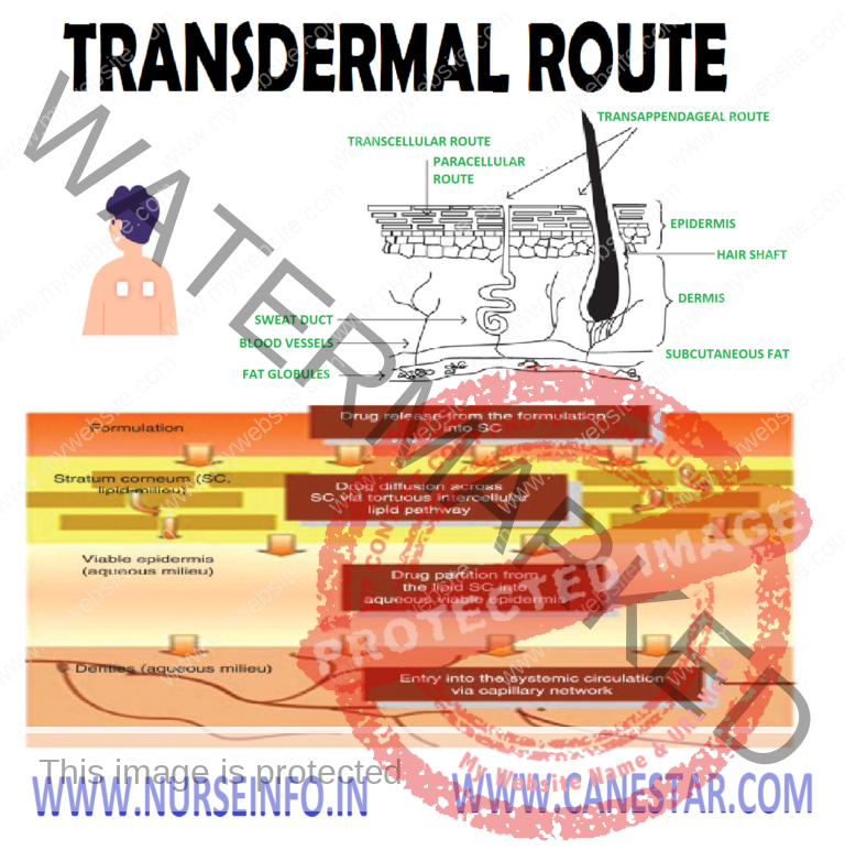 TRANSDERMAL ROUTE OF DRUG ADMINISTRATION - Nurse Info