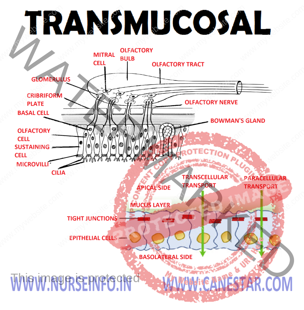 TRANSMUCOSAL -Purpose and Advantages