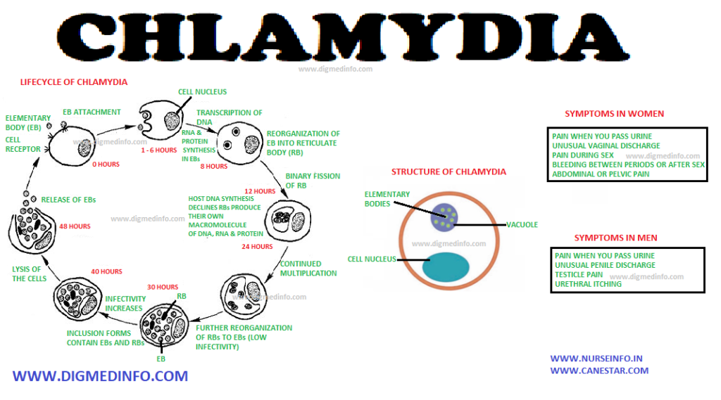 CHLAMYDIA (Psittacosis/Parrot Fever) – General Characteristics, Life cycle, Definition, Epidemiology, Pathology, Clinical Features, Diagnosis, Treatment and Control 