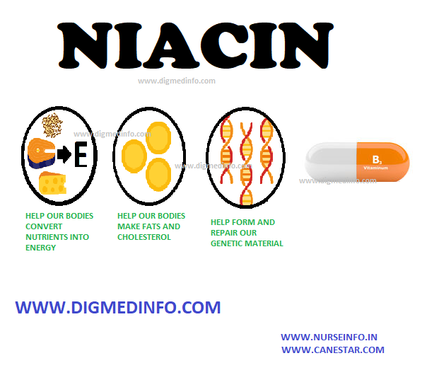 NIACIN – (NICOTINIC ACID, NICOTINAMIDE, ANTIPELLAGRA VITAMIN, VITAMIN B3) – Dietary Sources
