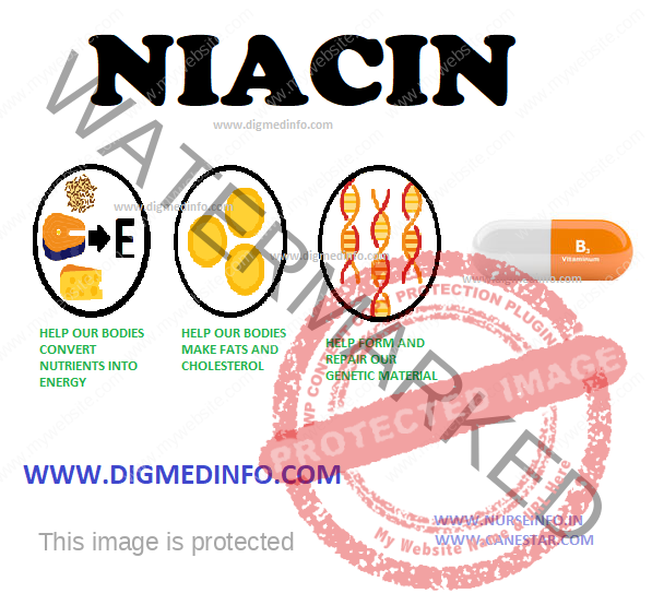 NIACIN – (NICOTINIC ACID, NICOTINAMIDE, ANTIPELLAGRA VITAMIN, VITAMIN B3) – Dietary Sources