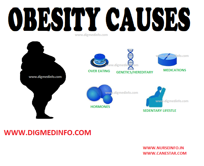 OBESITY – CAUSES AND PATHOLOGY 