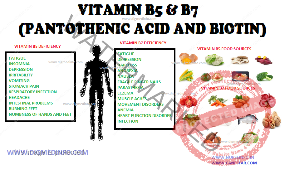 PANTOTHENIC ACID AND BIOTIN 