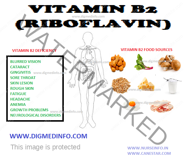 RIBOFLAVIN (VITAMIN – B2) 