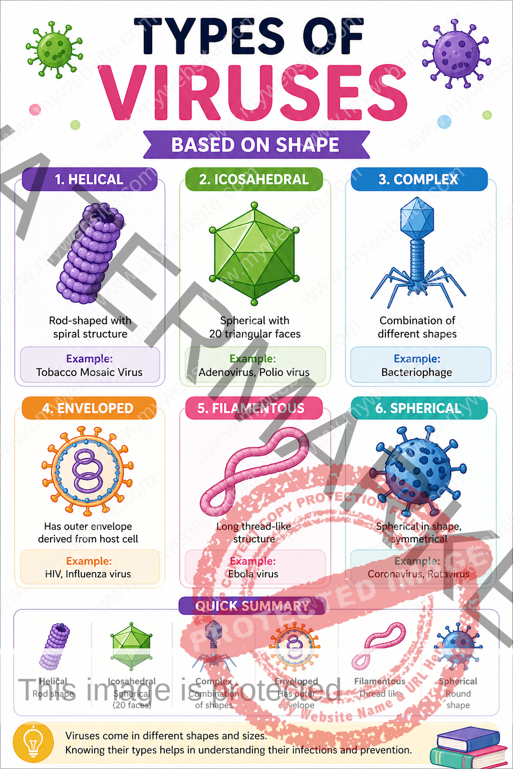 types of virus