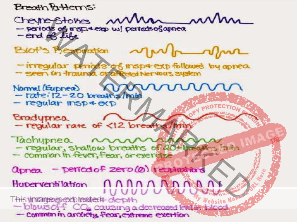 Nursing Mnemonics Book for NCLEX-RN, CRNE AND NMC Examination | nurseinfo