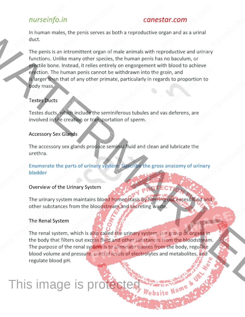 Anatomy visual data 5