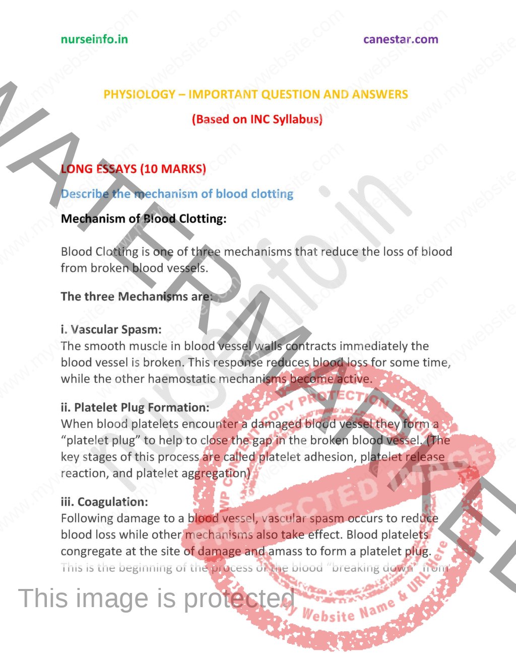 Anatomy visual data 8
