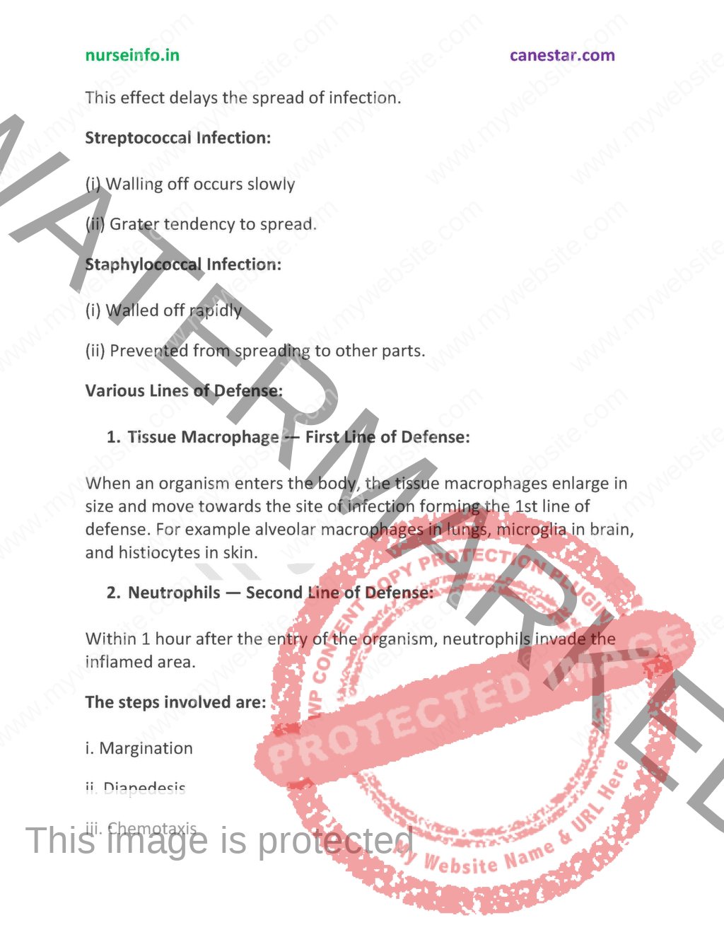 Anatomy visual data 5