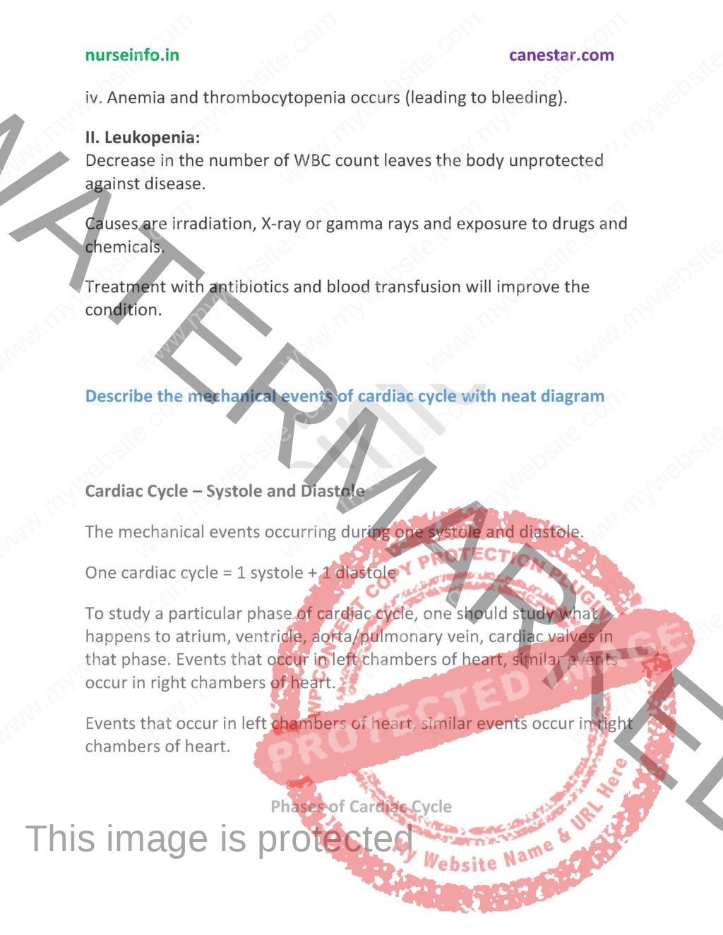 Anatomy visual data 4