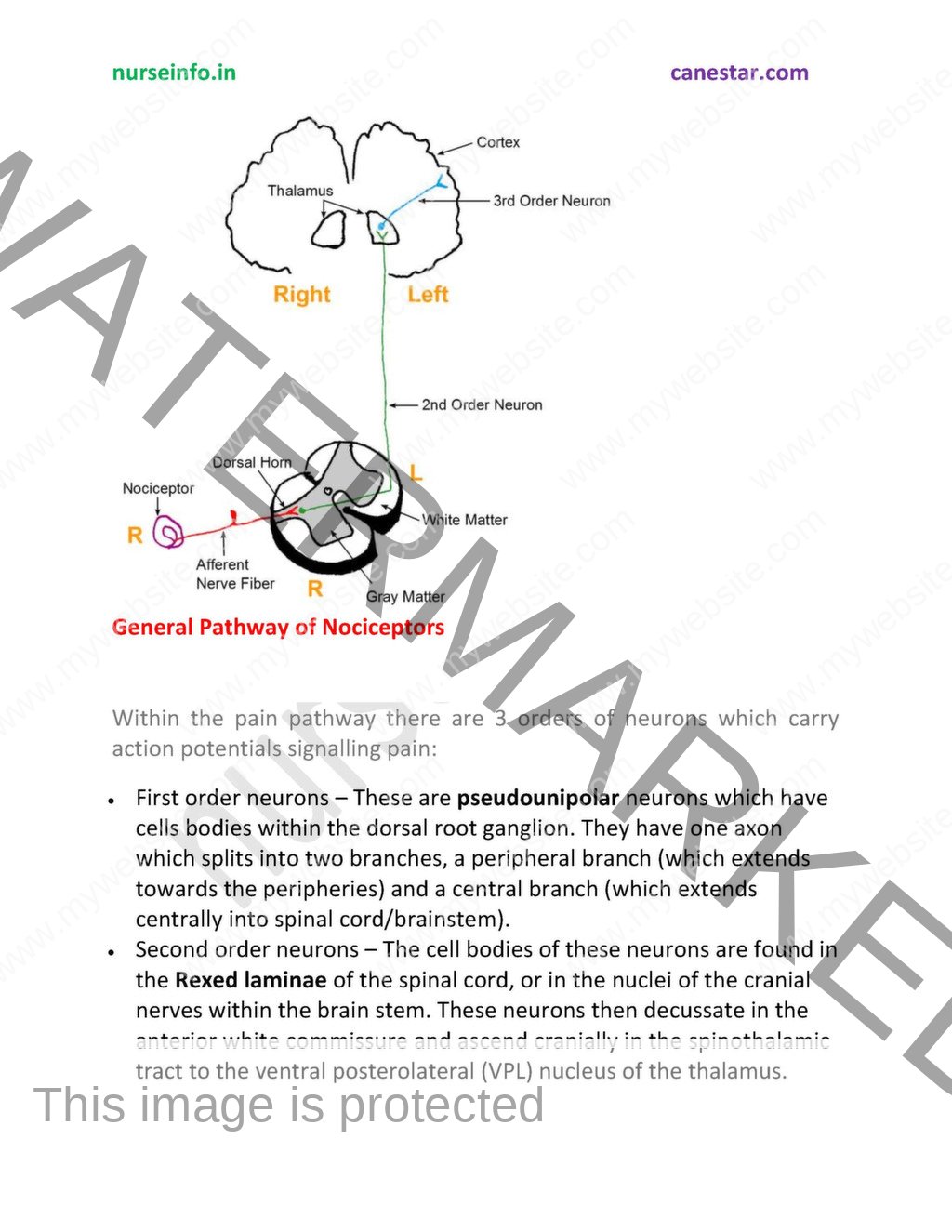 Physiology visual data 3