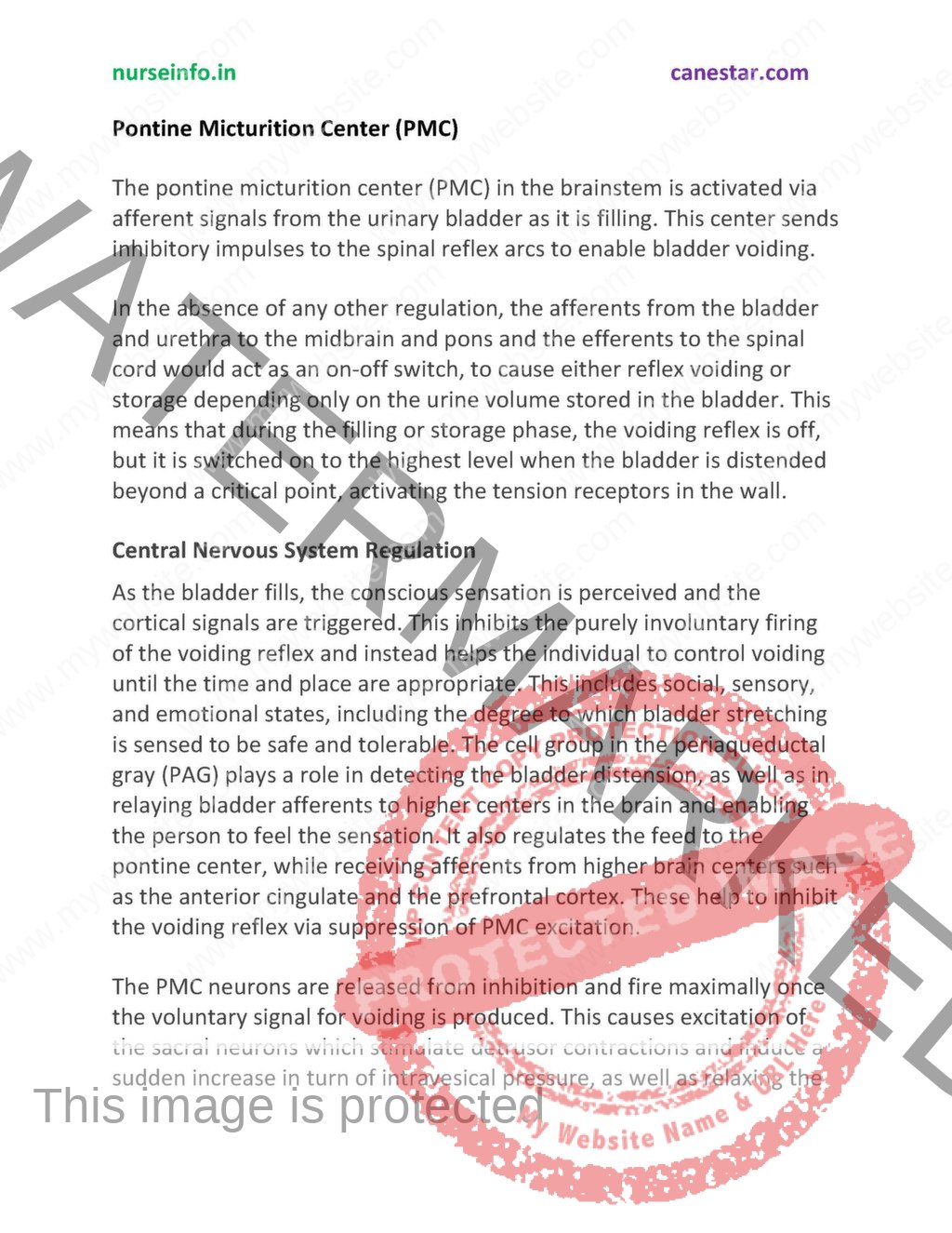 Cell (biology) visual data 6
