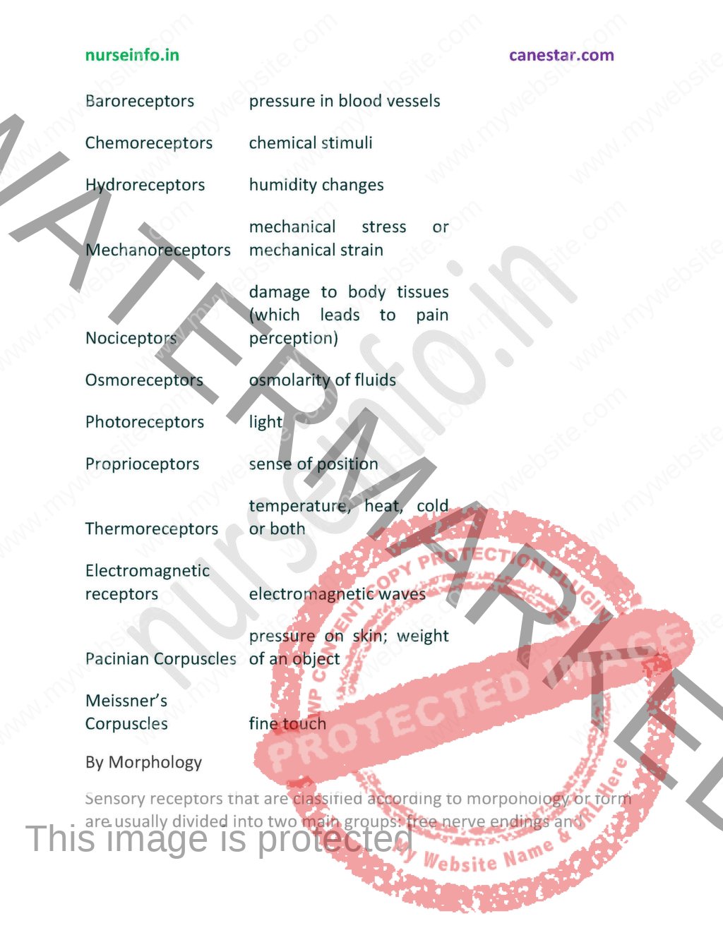 BSc Nursing First Year Physiology Notes/Book (PDF) | nurseinfo