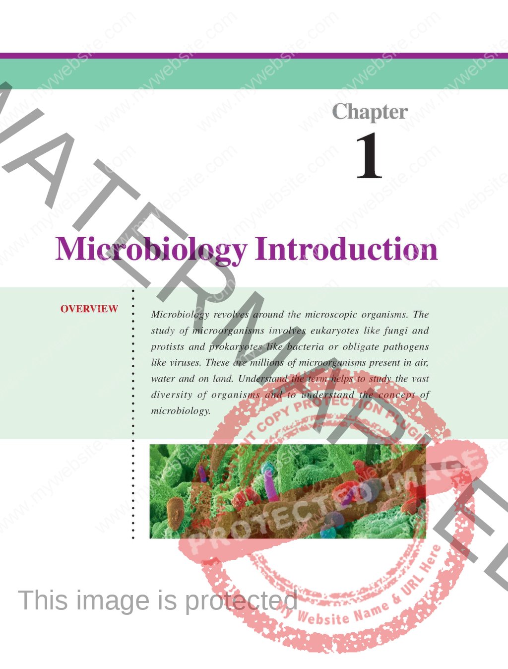 BSC Nursing First Year Microbiology Second Edition Book (PDF) - Nurse Info