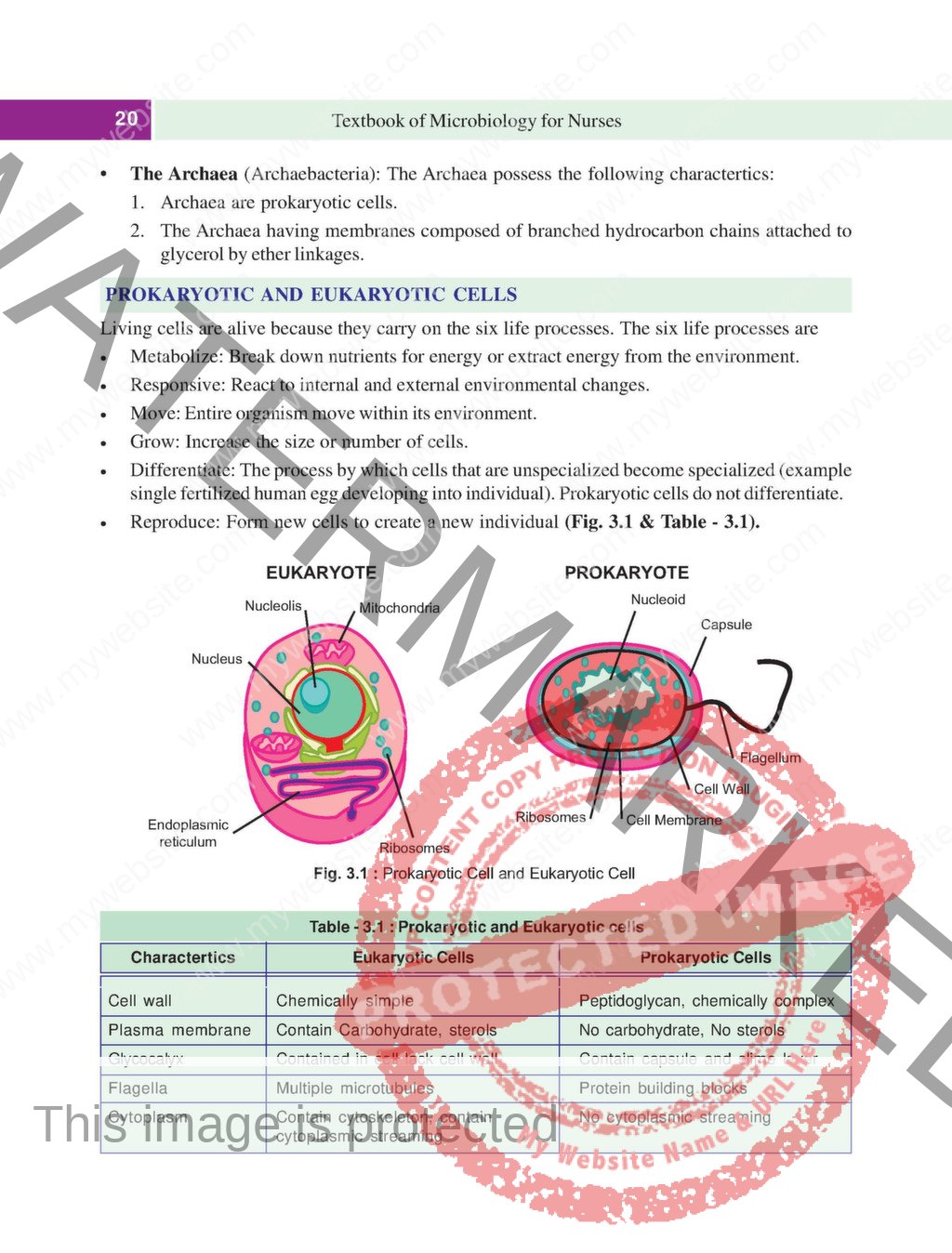 BSC Nursing First Year Microbiology Second Edition Book (PDF) - Nurse Info