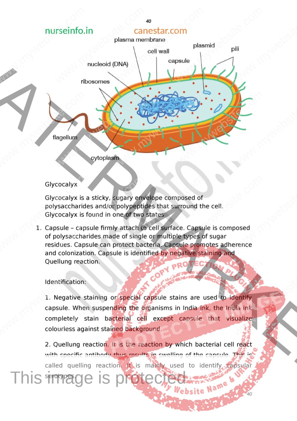 BSC Nursing First Year “Microbiology For Nurses” Notes/Book (PDF ...