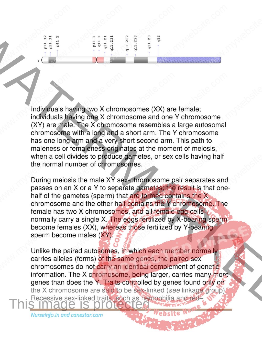 BSC Nursing Second Year Genetics Notes/Book (PDF) - Nurse Info