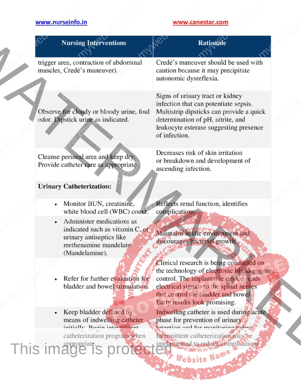 Neurological Nursing Care Plans Book (PDF) | nurseinfo