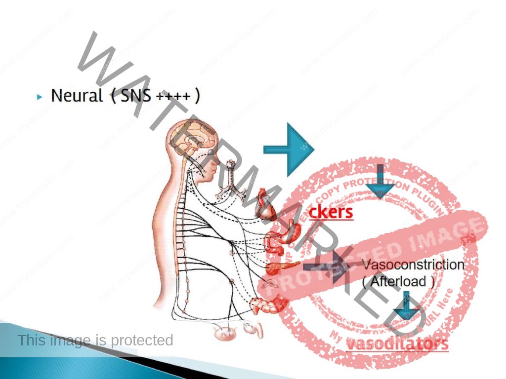 Cardiology | nurseinfo