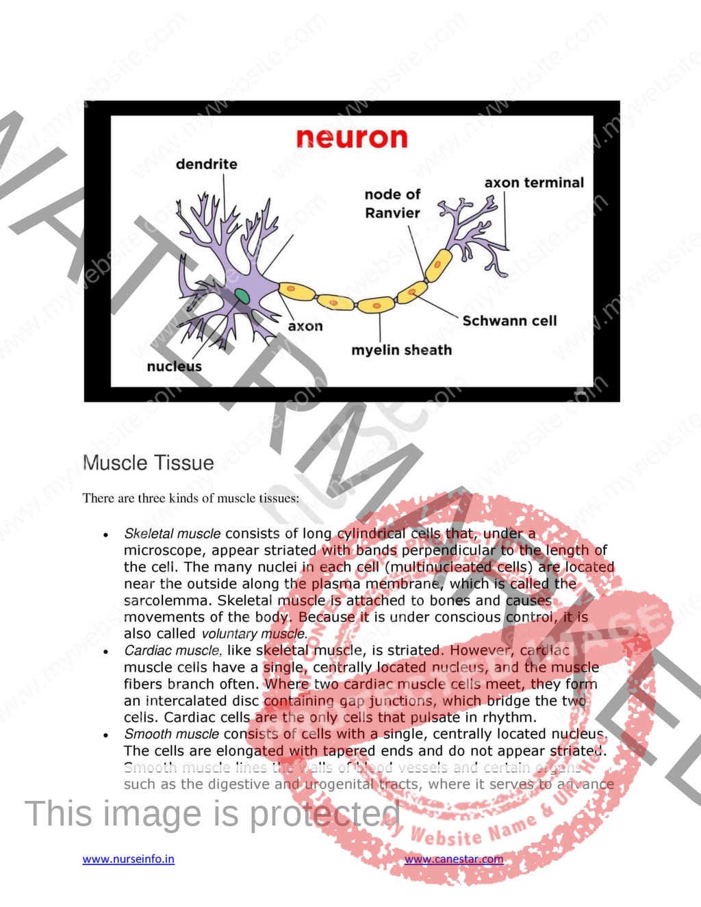 Anatomy And Physiology Book (PDF) For NURSING, M.B.B.S, BDS, , DMLT ...