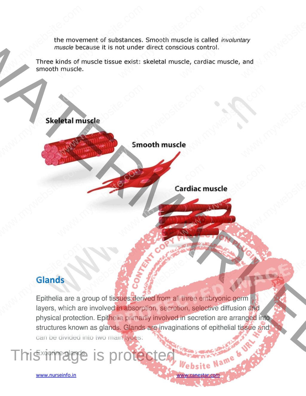Anatomy And Physiology Book PDF For NURSING M B B S BDS DMLT 