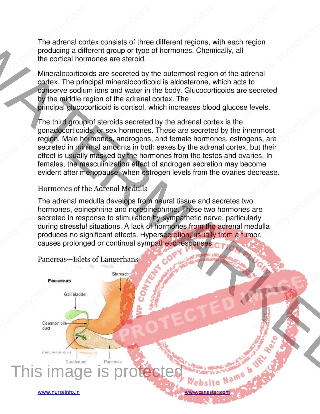 Anatomy And Physiology Book (PDF) For NURSING, M.B.B.S, BDS, , DMLT ...