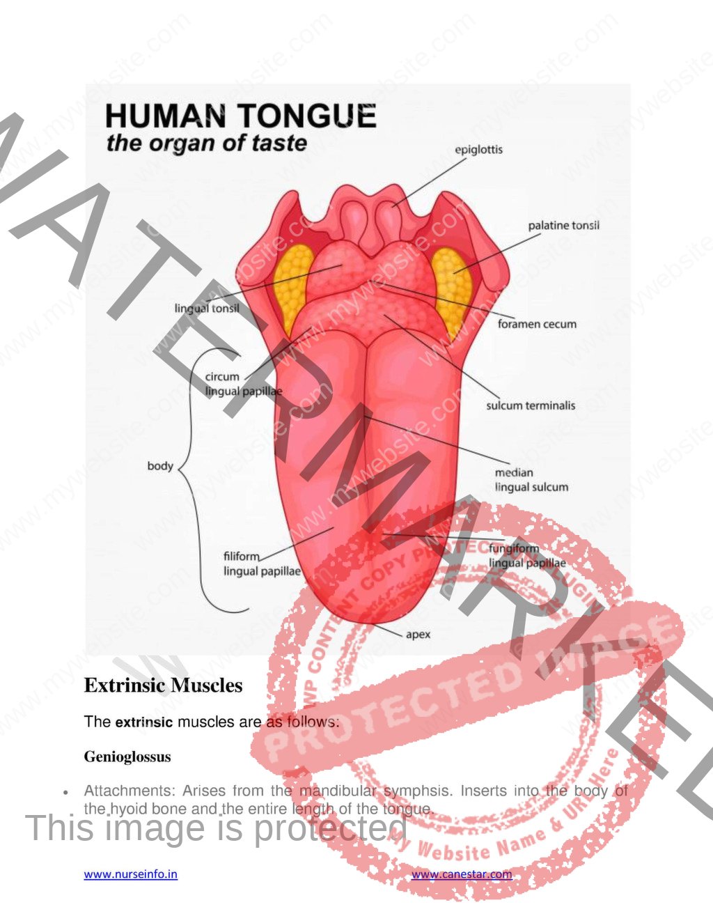 Anatomy and Physiology Book (PDF) for NURSING, M.B.B.S, BDS, , DMLT