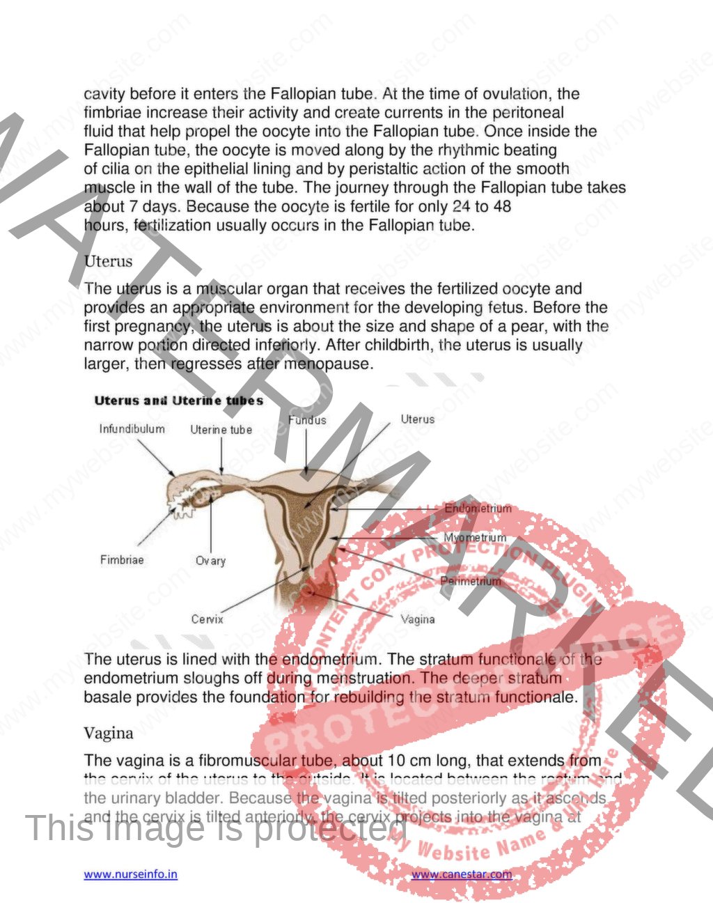 Anatomy and Physiology Book (PDF) for NURSING, M.B.B.S, BDS, , DMLT ...