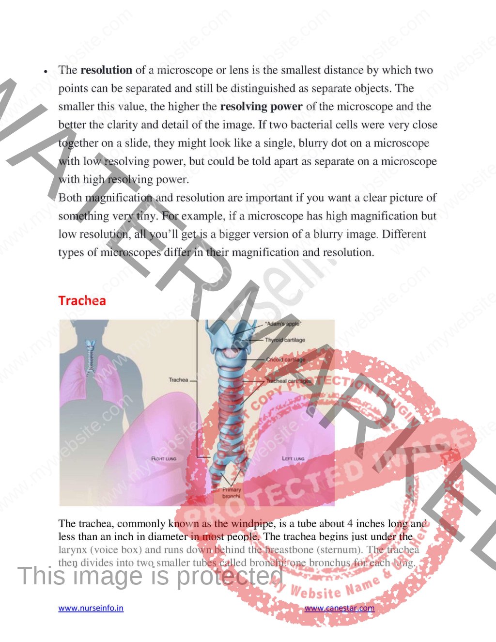 ANATOMY AND PHYSIOLOGY BOOK FOR GNM NURSING 1ST YEAR PDF visual data 5