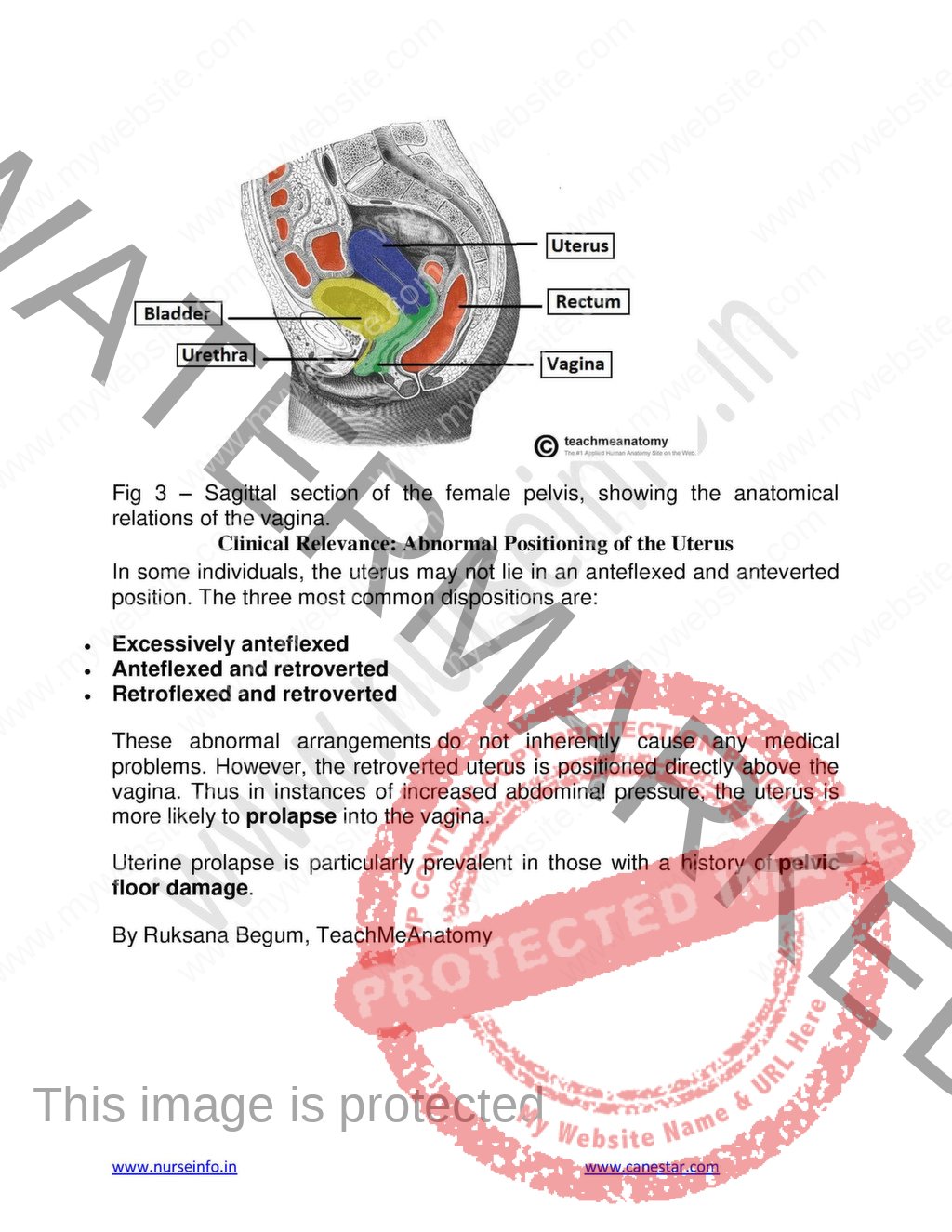 ANATOMY AND PHYSIOLOGY BOOK FOR GNM NURSING 1ST YEAR PDF visual data 4