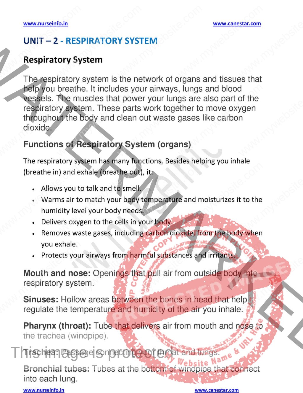 Applied Physiology Notes/Book (PDF) FOR BSC NURSING STUDENTS - Nurse ...