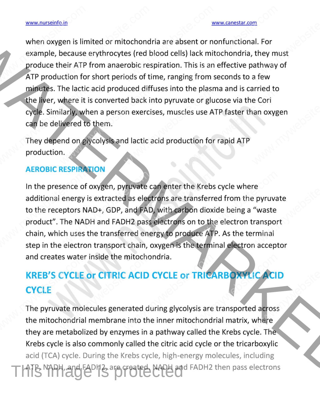 Revised Applied Biochemistry Notes/Book (PDF) FOR BSC NURSING STUDENTS ...