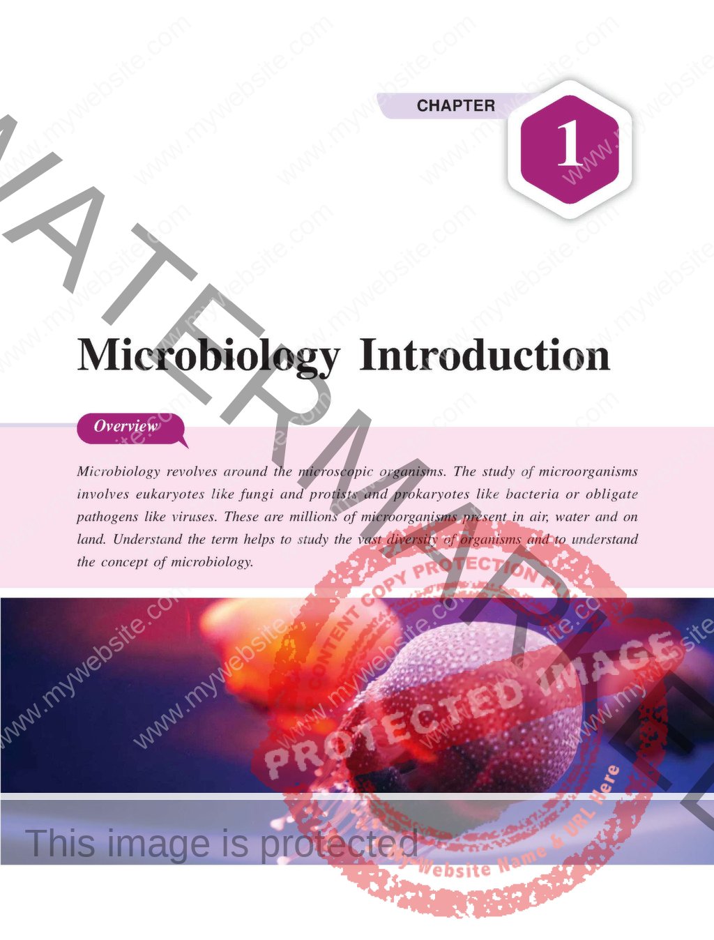 Applied Microbiology For Nurses Including Infection Control Safety