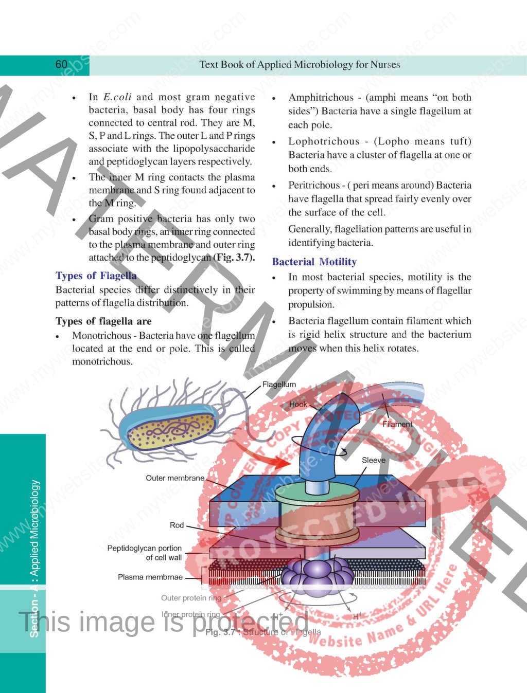 Applied Microbiology for Nurses (including Infection Control & Safety ...