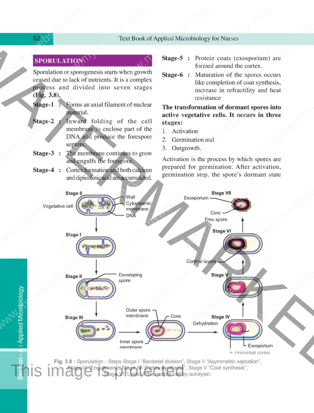 Applied Microbiology For Nurses (including Infection Control & Safety ...